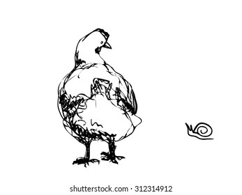 Vector ink sketch of the chicken