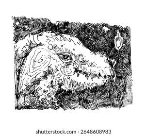 Esboço de tinta vetorial de uma criatura com pele detalhada e um olho expressivo, renderizado com uma técnica de eclosão cruzada. Escuro, intenso e texturizado.