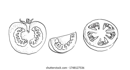 boceto de tinta vectorial del estilo del doodle de tomates cortados. dibujado a mano