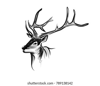 Vector ink sketch head deer
