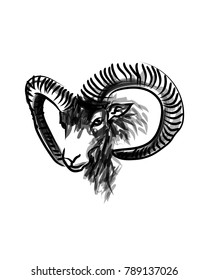 Vector ink sketch head mouflon