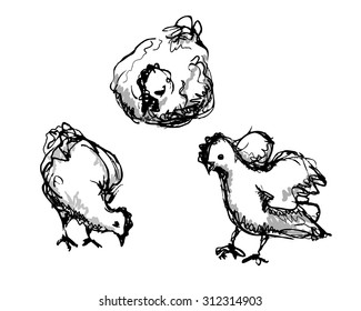 Vector ink sketch of the three chicken
