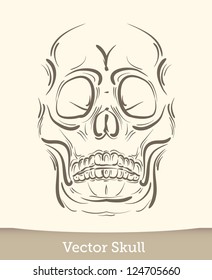 vector ink skull