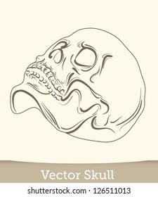 vector ink skull