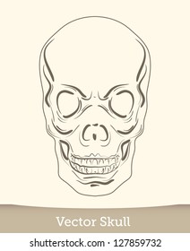 vector ink skull