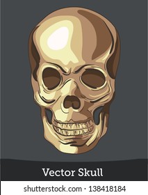 vector ink skull