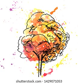 A vector, ink and watercolor drawing of an autumn tree with colorful splashes on a white background, a beautiful fall design element