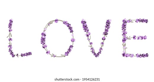 vector inscription LOVE made in the form of lavender sprigs in bright colors on a white background