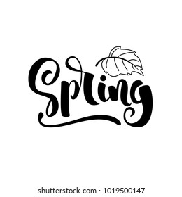 Vector inscription Spring on white background.