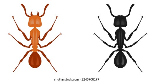 Vector insect ant. A design element for applications and websites. The concept of nature and small bugs.