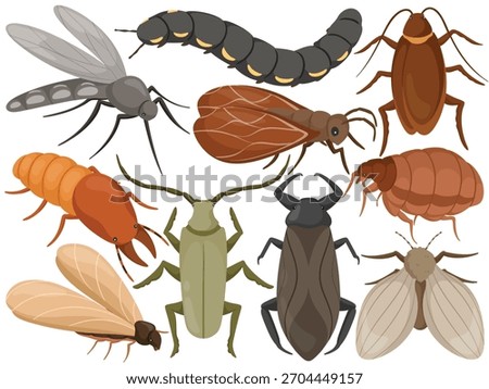 Vector Insect Clip Art Set Bug Collection Mosquito Cockroach Termite Beetle Fly Illustration Isolated on White Background Graphic Nature Entomology