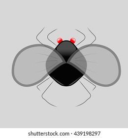 vector insect , fly glossy