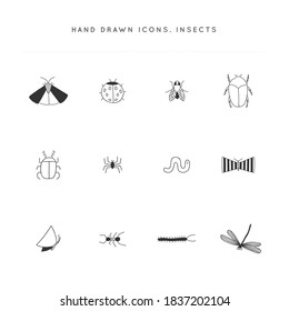 Vector insect icon set. Hand drawn simple illustrations. Butterflies, spiders and beetles. For branding and business identity. For garden shops, for pest control companies.