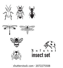 vector insect set black and white insects graphic image bee dragonfly beetle ant ladybug