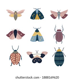 Vector insect set. Cute bugs, butterflies, moths and beetles. Hand drawn insects