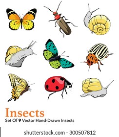 Vector Insects 9 Elements Set Seamless Pattern
