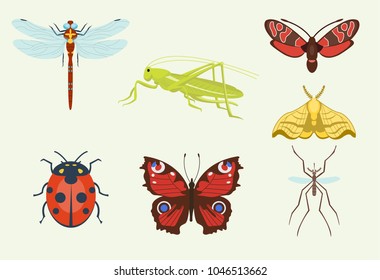 Vector insects icons isolated on background colorful top view illustration of wildlife wing fly insects detail macro animalssummer bugs illustration.