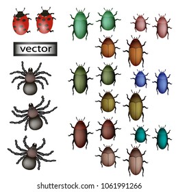 Vector. Insects set. Spiders, beetles, ladybugs, different bugs a lot. Multicolored, colored insects, collection. Set for design. Realistic cartoon, 3D, grid, design.
