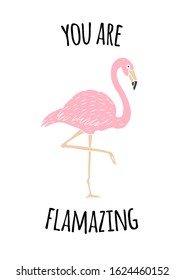 Vector Inspirational quote and hand drawn doodle sketch flamingo isolated on white background. You are amazing lettering illustration design