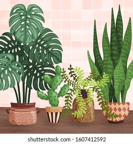 Vector interior illustration with exotic decorative indoor houseplants in flower pots.  Monstera, cactus, fern, snake tail plant on pink wall background 