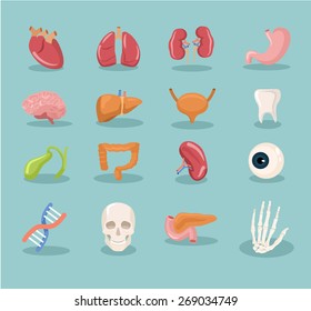 Vector internal organs cartoon icon set