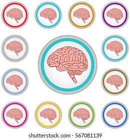 Vector internet button set with brain sign isolated on a white background