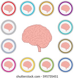 Vector internet button set with brain sign isolated on a white background