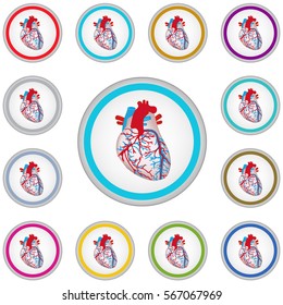 Vector internet button set with heart sign isolated on a white background