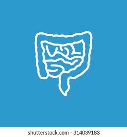 Vector intestines icon