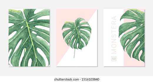 Vector invitation card set with green tropical leaves on white and pink background. Can be used for cosmetics, spa, perfume, beauty salon, travel agency