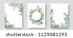 Vector invitation cards with herbal twigs and branches wreath and corners border frames. Rustic vintage bouquets with fern fronds, mistletoe twigs, willow, palm branches in green colors.