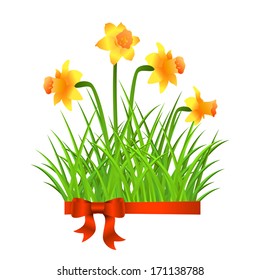 Vector invitation cards with narcissus and grass.