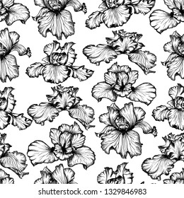 Vector iris botanical flower. Black and white line-art. Seamless background pattern. Wallpaper print. Vintage background.