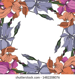 Vector Iris floral botanical flowers. Wild spring leaf wildflower isolated. Black and white engraved ink art. Frame border ornament square on white background.