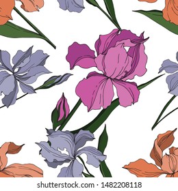 Vector Iris floral botanical flowers. Wild spring leaf wildflower isolated. Black and white engraved ink art. Seamless background pattern. Fabric wallpaper print texture.