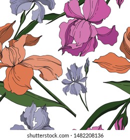 Vector Iris floral botanical flowers. Wild spring leaf wildflower isolated. Black and white engraved ink art. Seamless background pattern. Fabric wallpaper print texture.