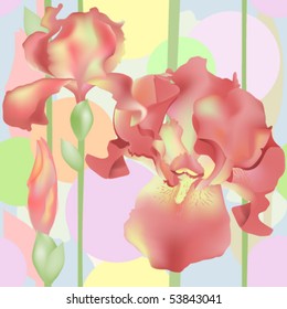 Vector iris flower background