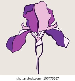 vector iris flower. Vector illustration.