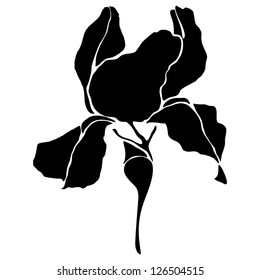 Vector iris flower silhouette