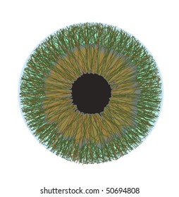 vector iris texture