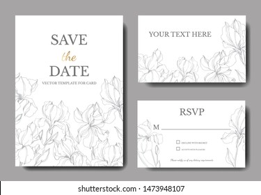 Vector Irises floral botanical flowers. Black and white engraved ink art