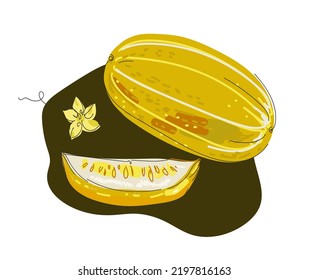 Vector iset llustration of korean melon ahd  slices, chamoe leaves. 