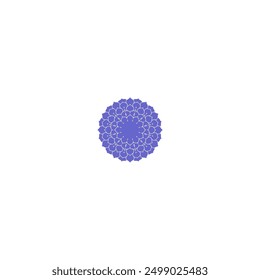 vector islamic mandala set set meditation