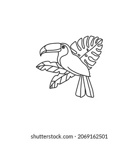 Vector isolaed toucan in tropaical leaves cotour line drawing. Colorless black line drawn toucan tatoo, graphic poster, graphic cloths print, design element