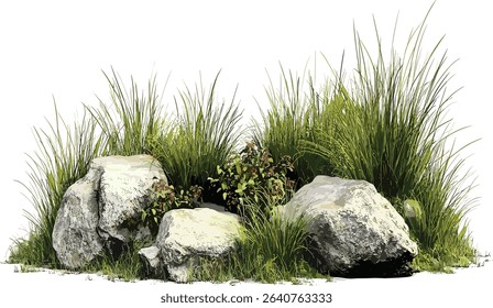 Vector isolate, grassy meadows, growth, rock formations, nature landscape, wild grass, outdoor environment, natural beauty, serene fields, rustic outdoor settings