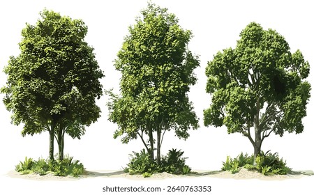 Vector isolate, jungle growth, bigger trees set, tropical forest, dense trees, nature, lush greenery, wild jungle, eco landscape, natural environment, wildlife
