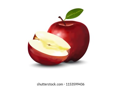 Vector Isolated apples. One and a half red apple fruits isolated on white background