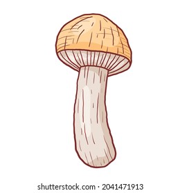 Vector isolated autumn doodle illustration of forest edible porcini mushroom in outline style.