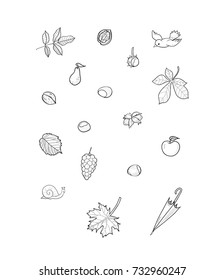 Vector isolated autumn icons. Hand drawn graphics.