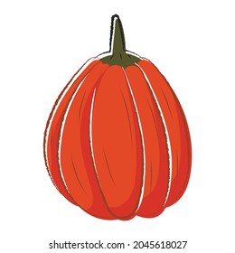 Vector isolated autumn illustration of halloween pumpkin in doodle style.